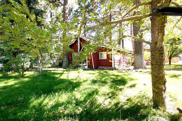 Green Cabin In Big Bear Lake 3 Bdr Pets Friendly Big Bear City Kültér fotó